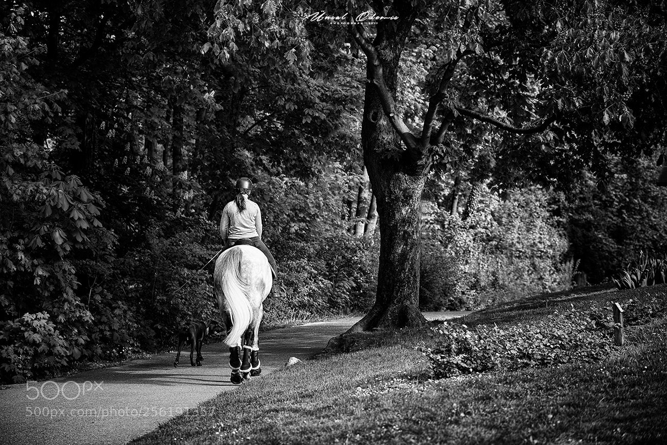 Nikon D810 sample photo. Cavalière photography