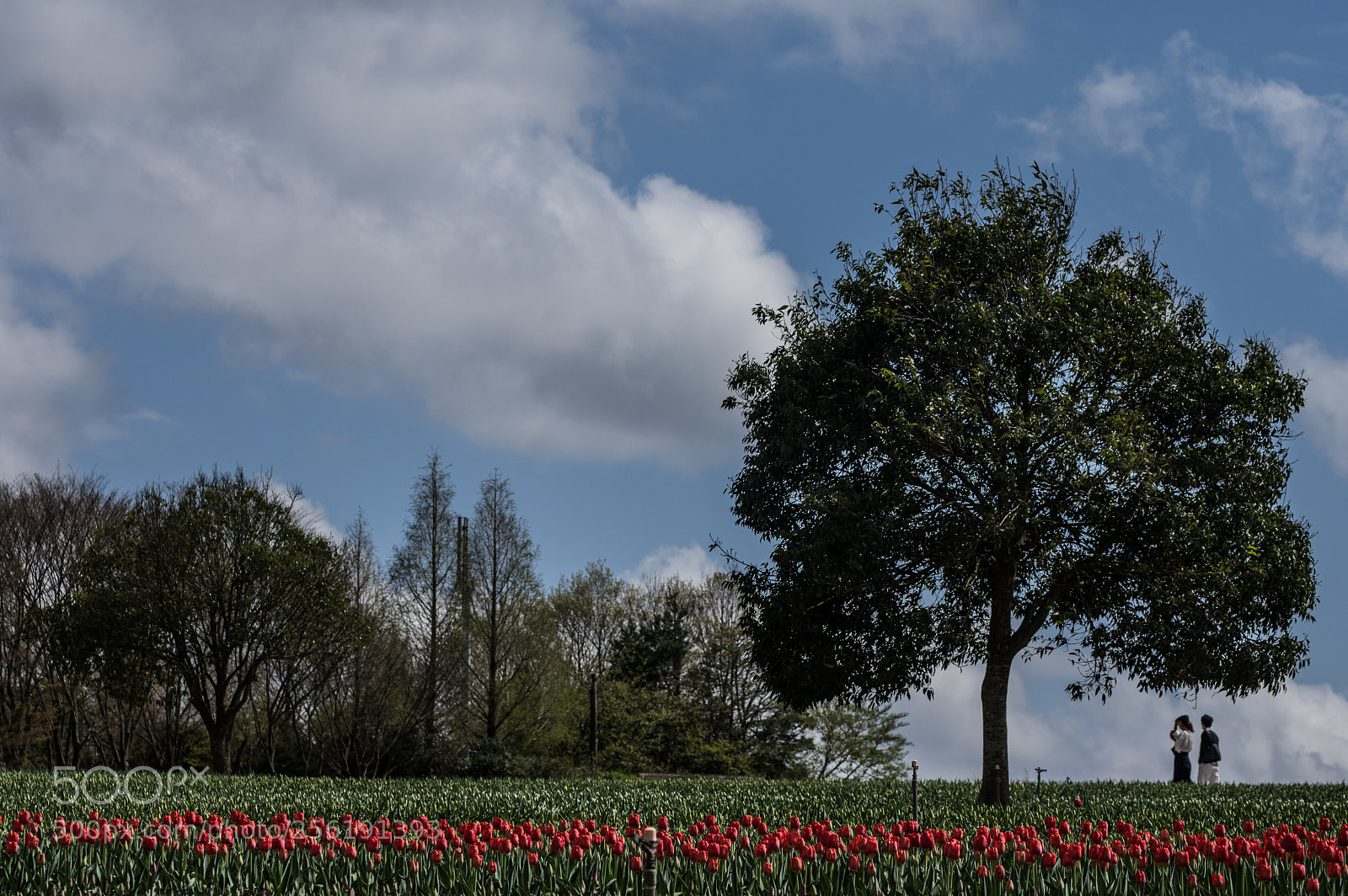 Pentax K-3 sample photo. Couple's world photography
