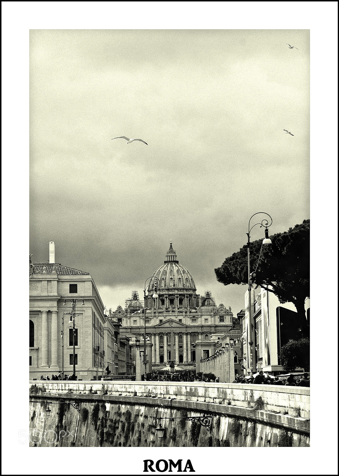Canon EOS 550D (EOS Rebel T2i / EOS Kiss X4) sample photo. Roma 14 photography
