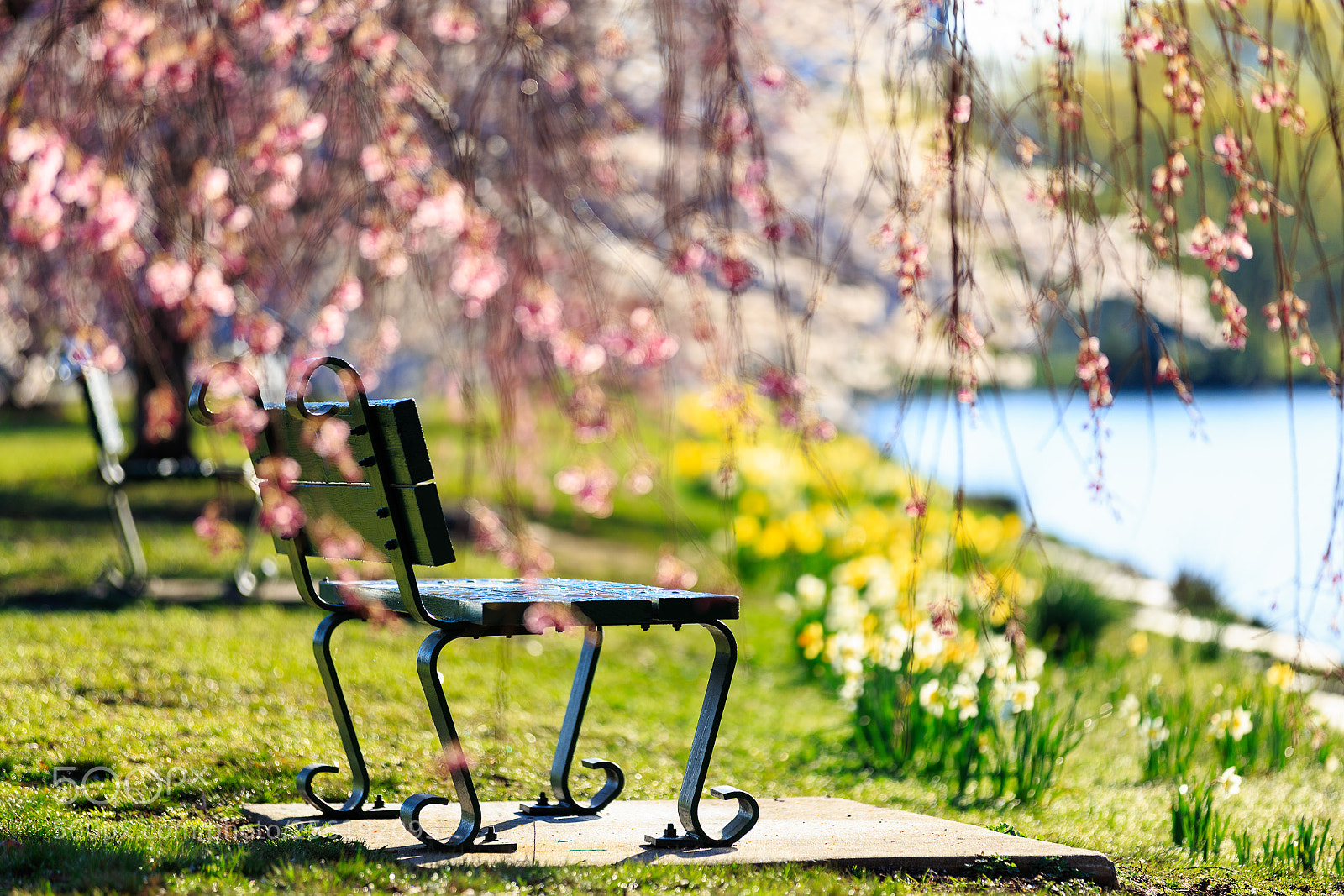 Canon EOS 6D sample photo. Spring (at last) photography