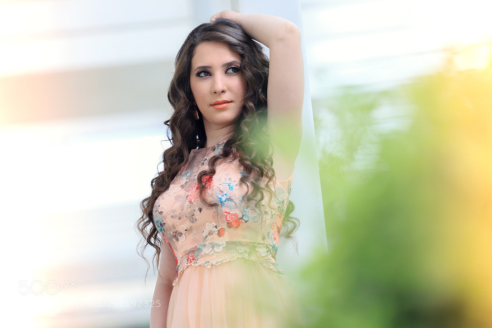 Canon EOS 6D Mark II sample photo. Img photography