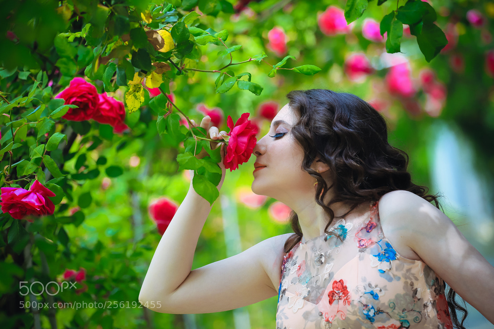 Canon EOS 6D Mark II sample photo. Img photography