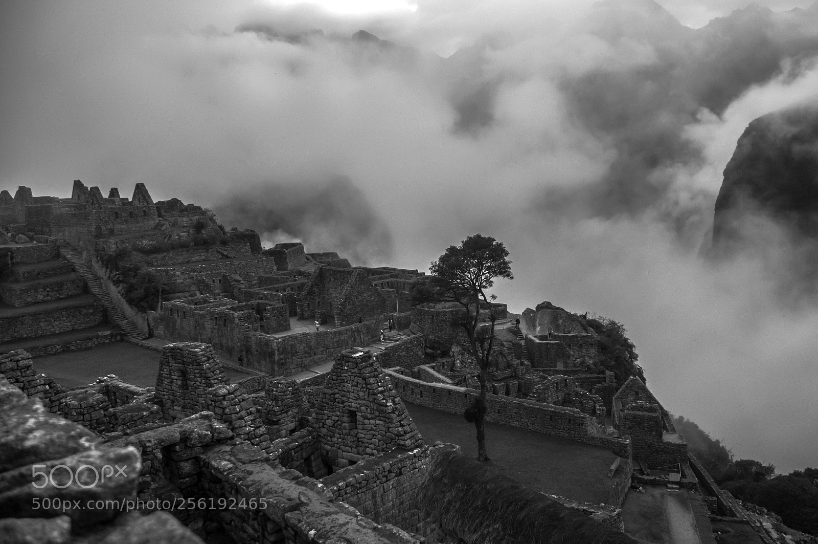 Nikon D300 sample photo. Machupicchu photography
