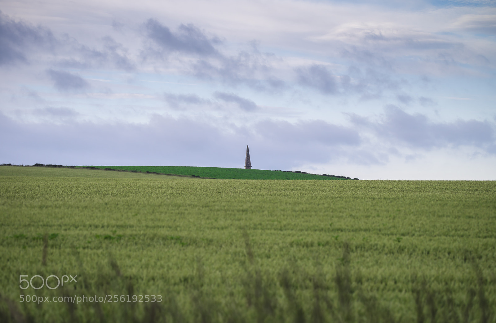 Sony a7R sample photo. There's that thing again! photography