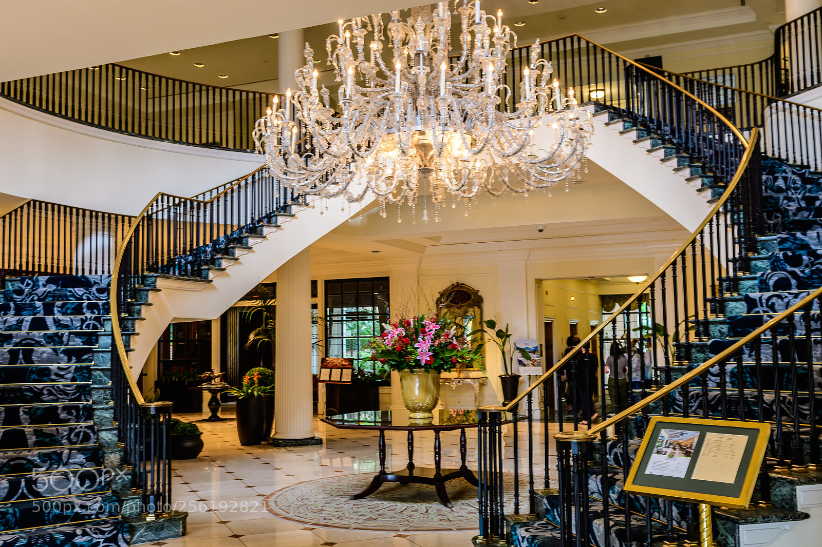 Nikon D500 sample photo. Welcome to the belmond photography