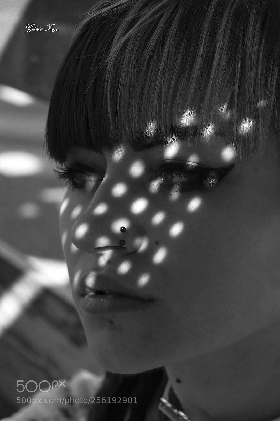 Nikon D3100 sample photo. Light photography
