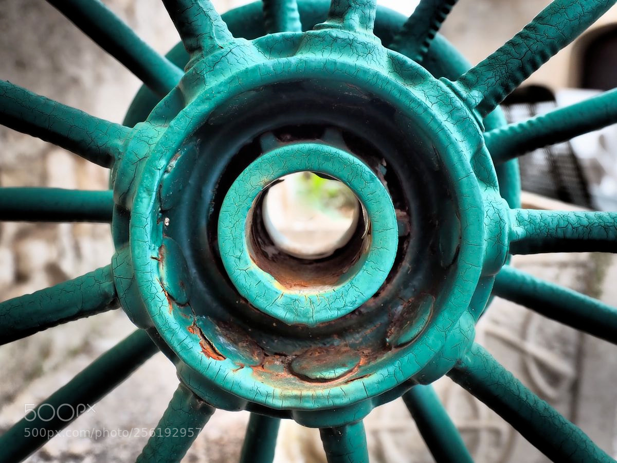 Olympus OM-D E-M5 II sample photo. Moyeux vert photography