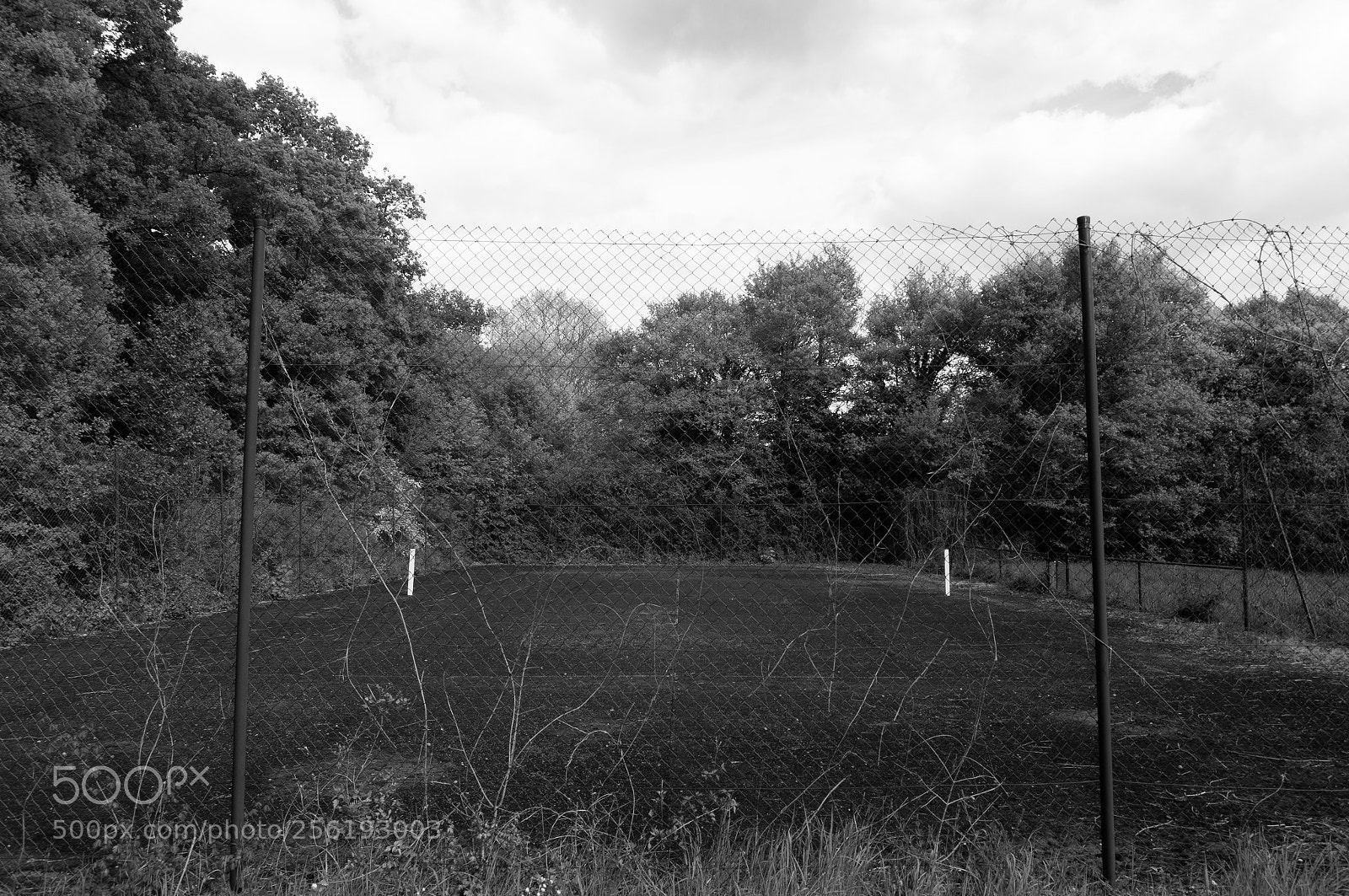 Sony Alpha NEX-6 sample photo. Terrain de tennis abandonné photography