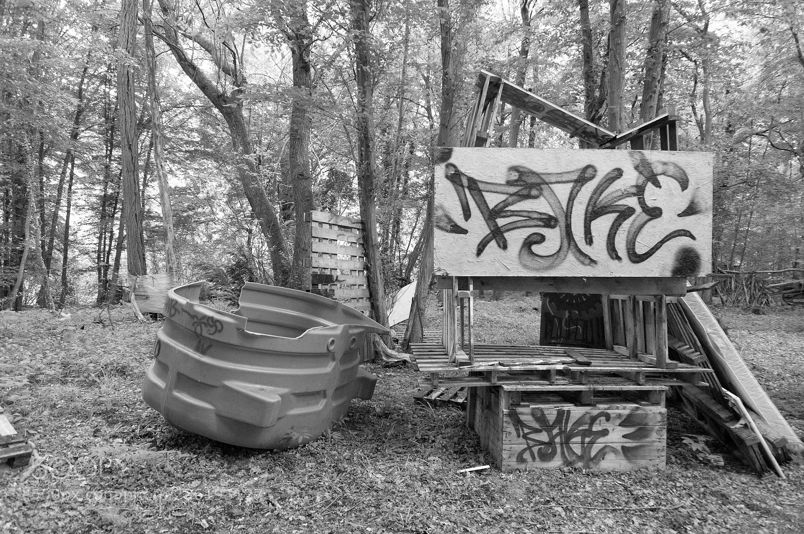 Sony Alpha NEX-6 sample photo. Forêt photography