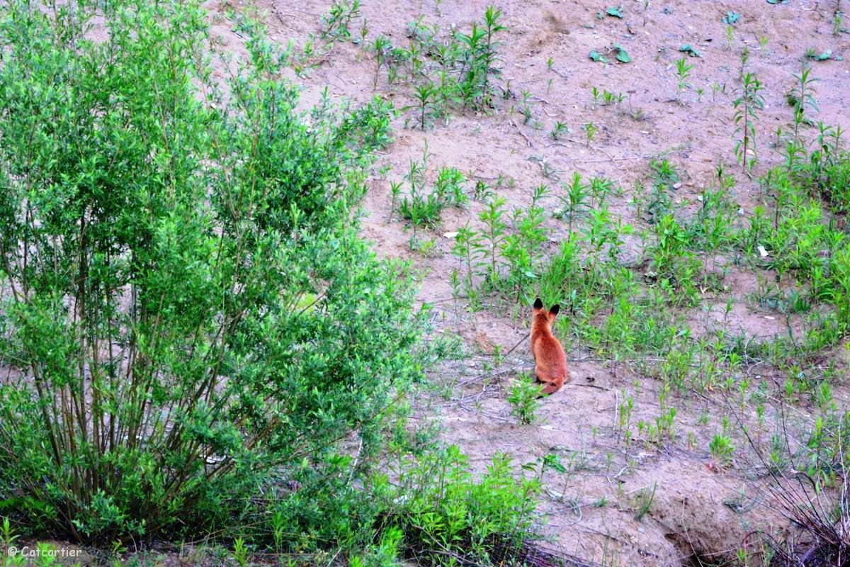 Nikon D7100 + Nikon Nikkor AF-S 300mm F4E PF ED VR sample photo. In the middle of nowhere ... photography