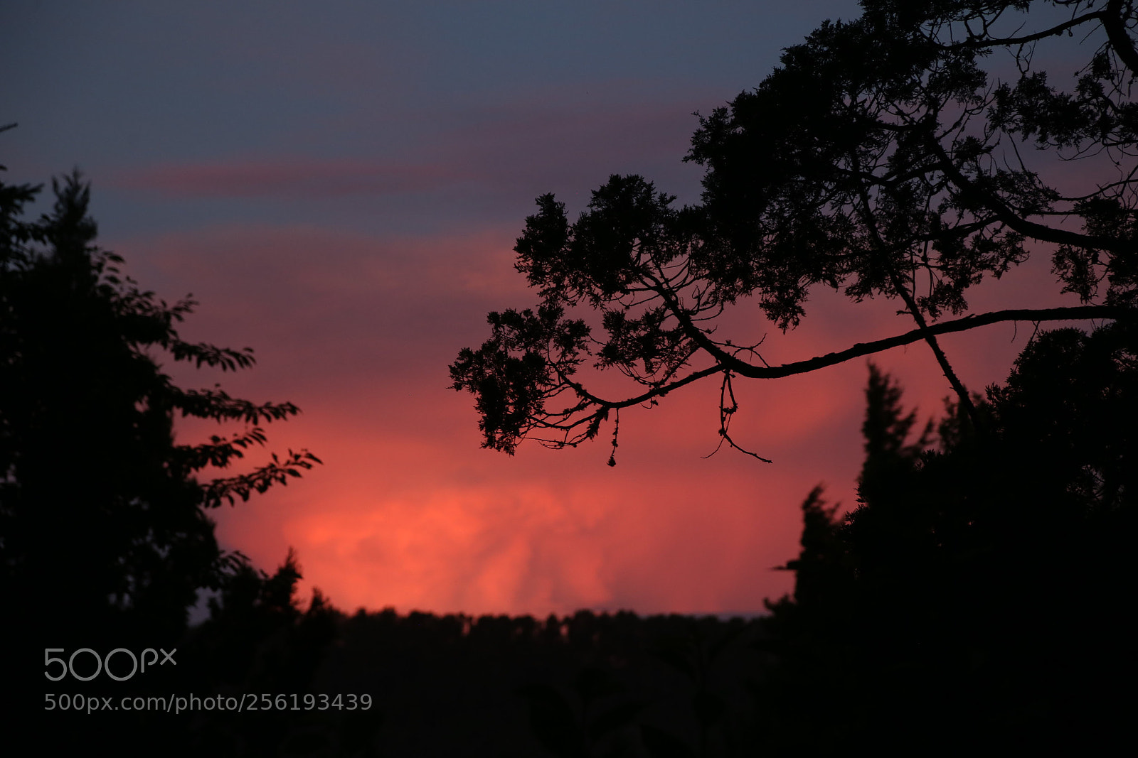 Canon EOS 6D + Canon EF 24-105mm F4L IS USM sample photo. Untitled photography