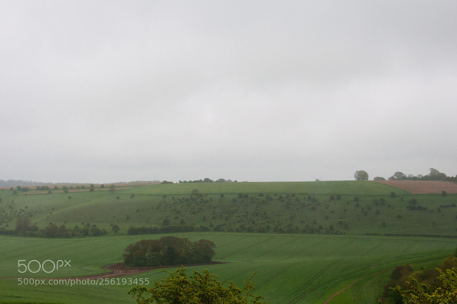 Nikon D90 sample photo. Berkshire photography
