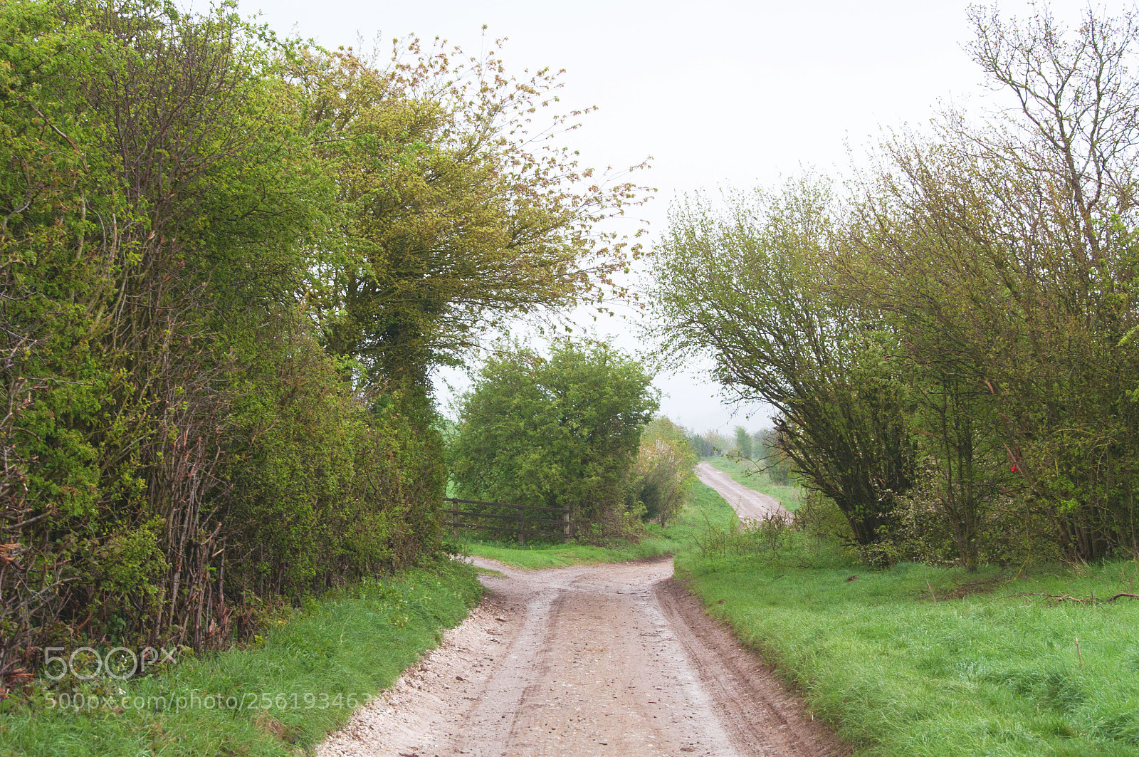 Nikon D90 sample photo. Ridgeway photography