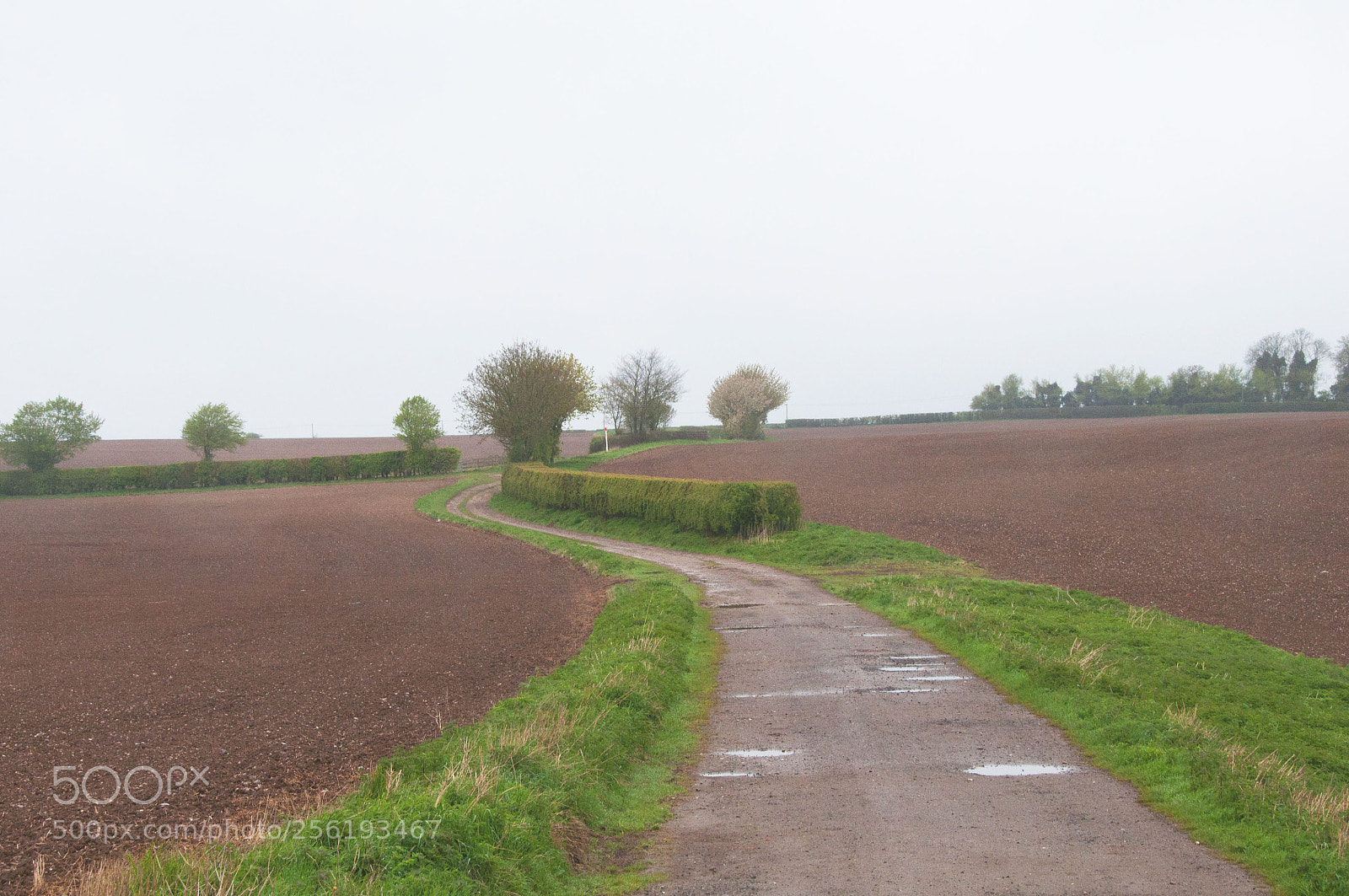 Nikon D90 sample photo. Tracks photography