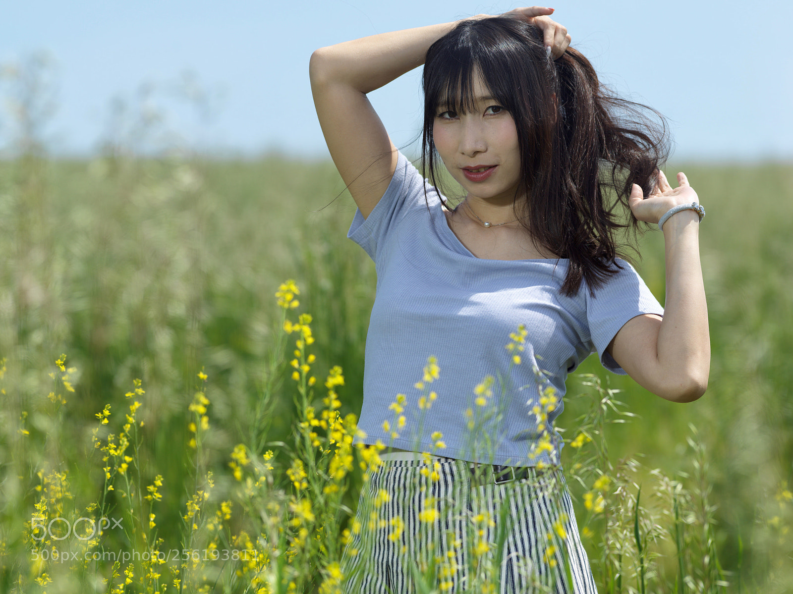 Hasselblad X1D-50c sample photo. Rape blossoms in front photography