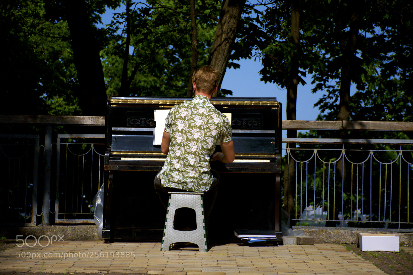 Nikon D7200 sample photo. Musician photography