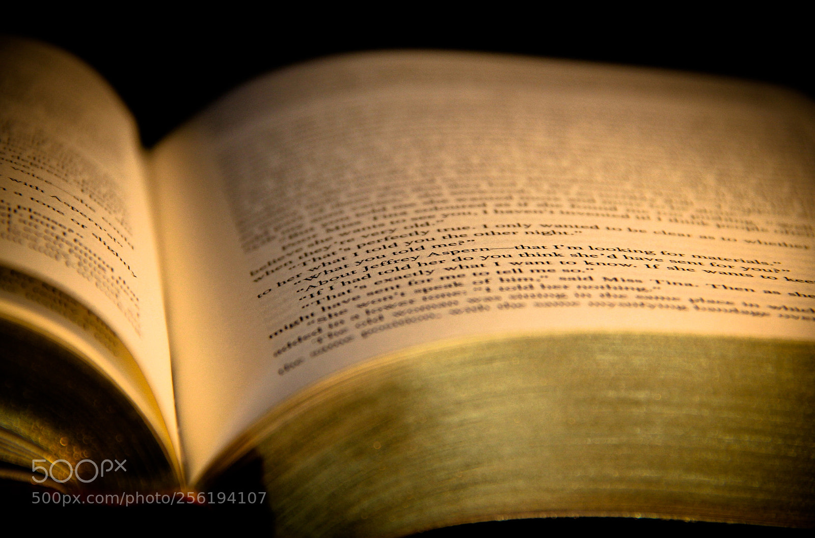 Canon EOS 550D (EOS Rebel T2i / EOS Kiss X4) sample photo. () photography