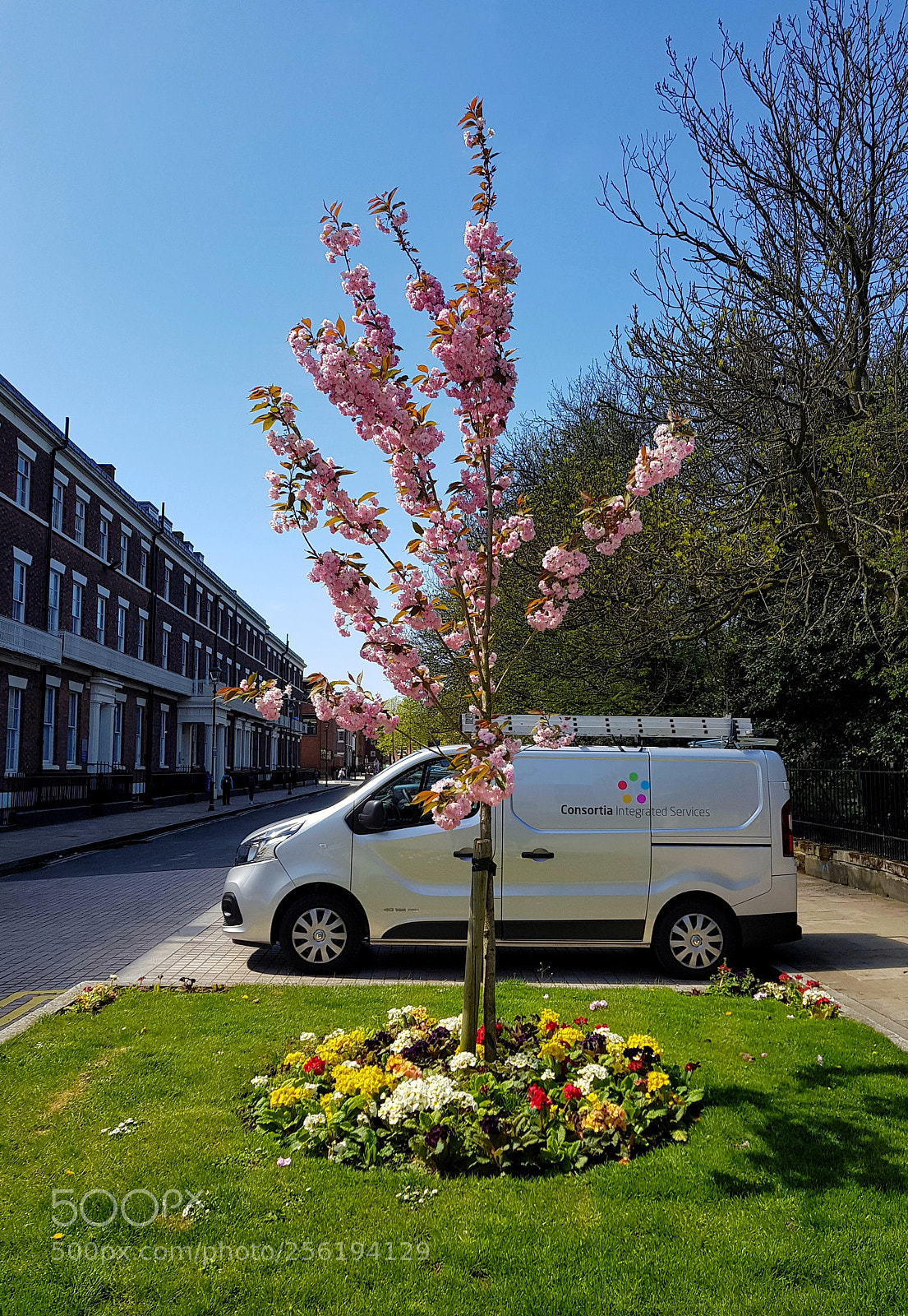 Samsung Galaxy S8 sample photo. University of liverpool photography