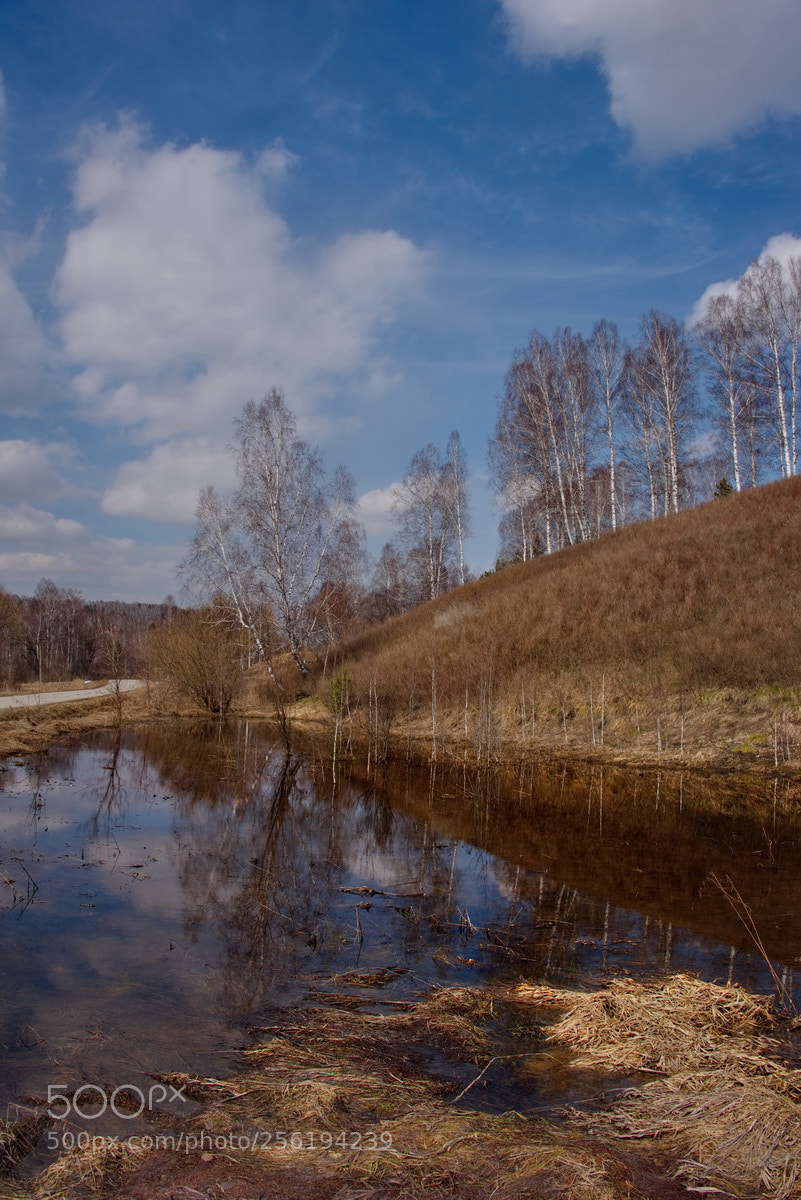 Nikon D750 sample photo. Russia. the south of photography