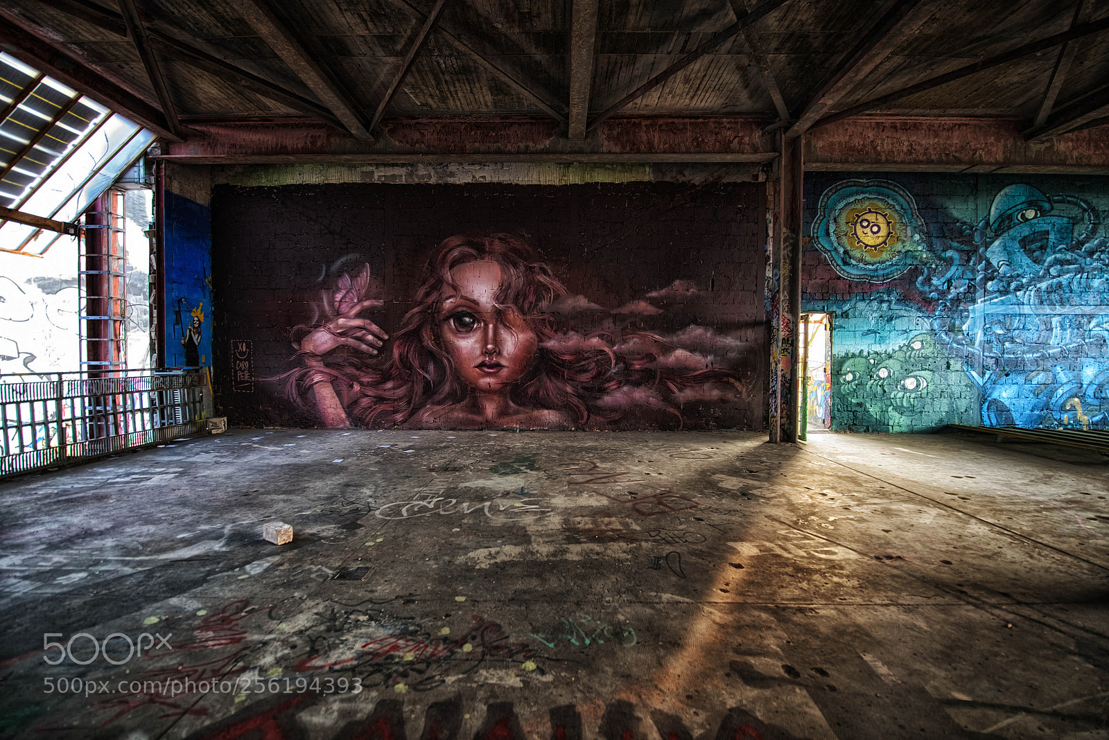 Nikon D810 sample photo. Open door photography