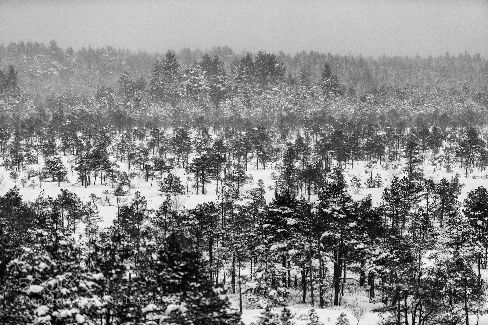 Canon EOS 6D Mark II sample photo. Winter photography