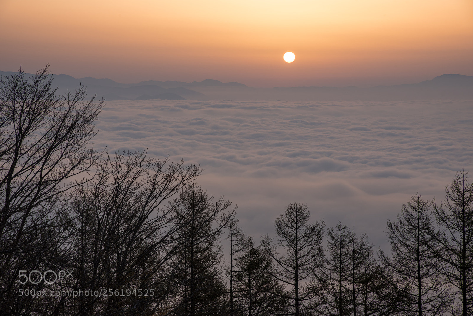 Nikon D750 sample photo. Land of the rising photography