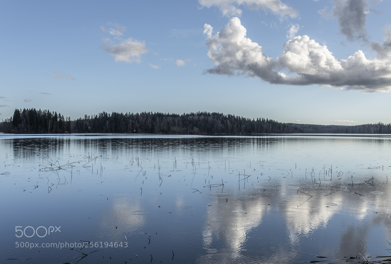 Nikon D850 sample photo. Afternoon clouds photography