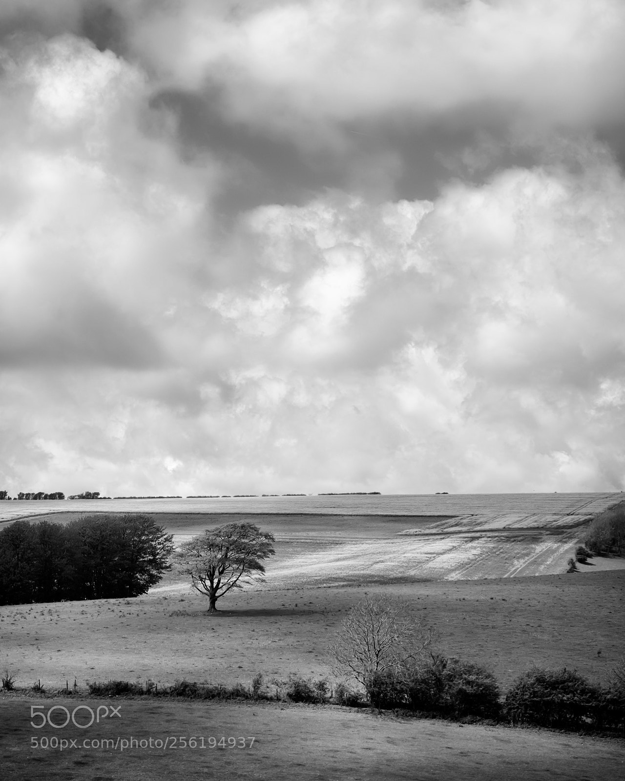 Fujifilm X-T1 sample photo. South downs photography