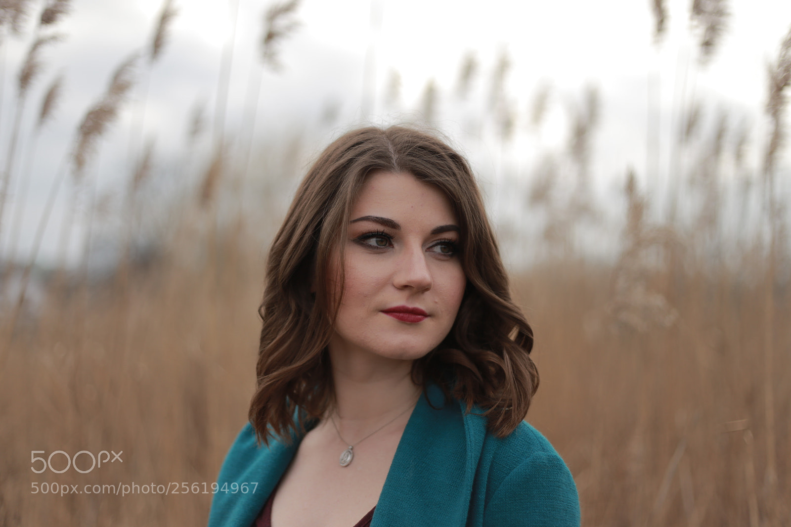 Canon EOS 6D + Canon EF 50mm F1.8 II sample photo. Img7666 photography