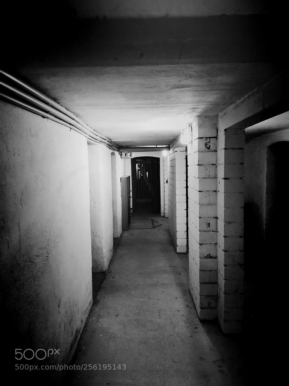 HUAWEI P20 lite sample photo. Horror photography