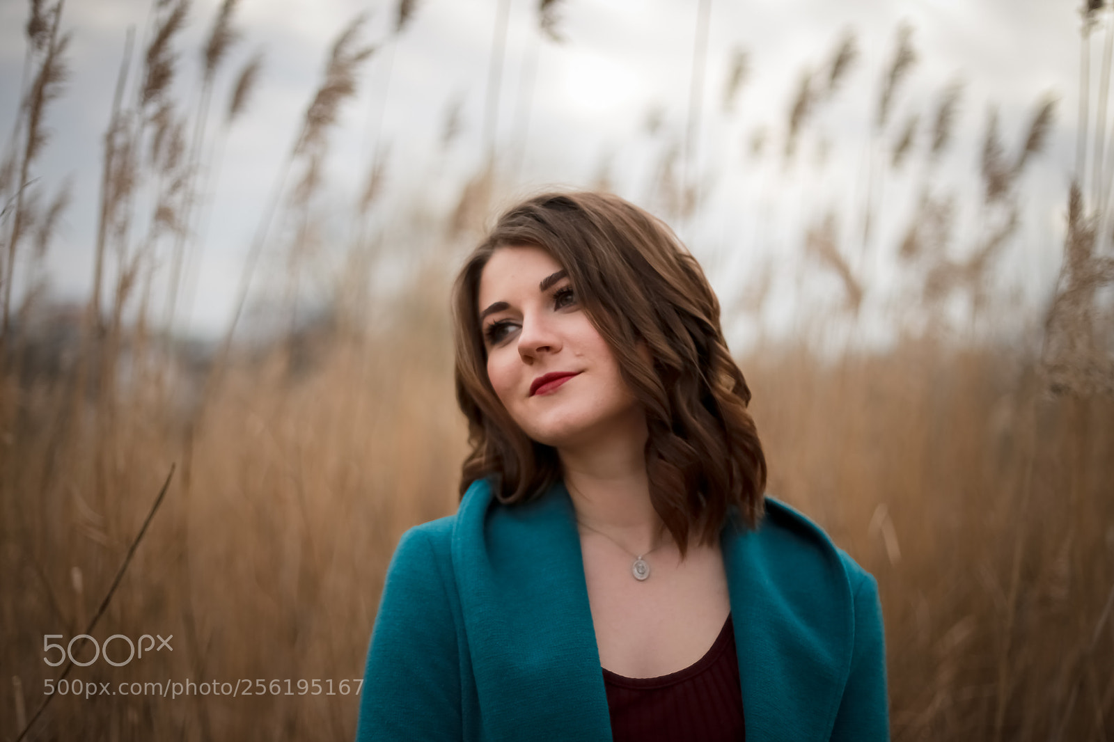 Canon EOS 6D sample photo. Img568 photography