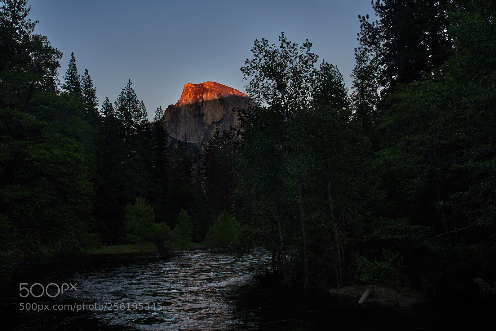 Sony a7R II sample photo. Dsc photography