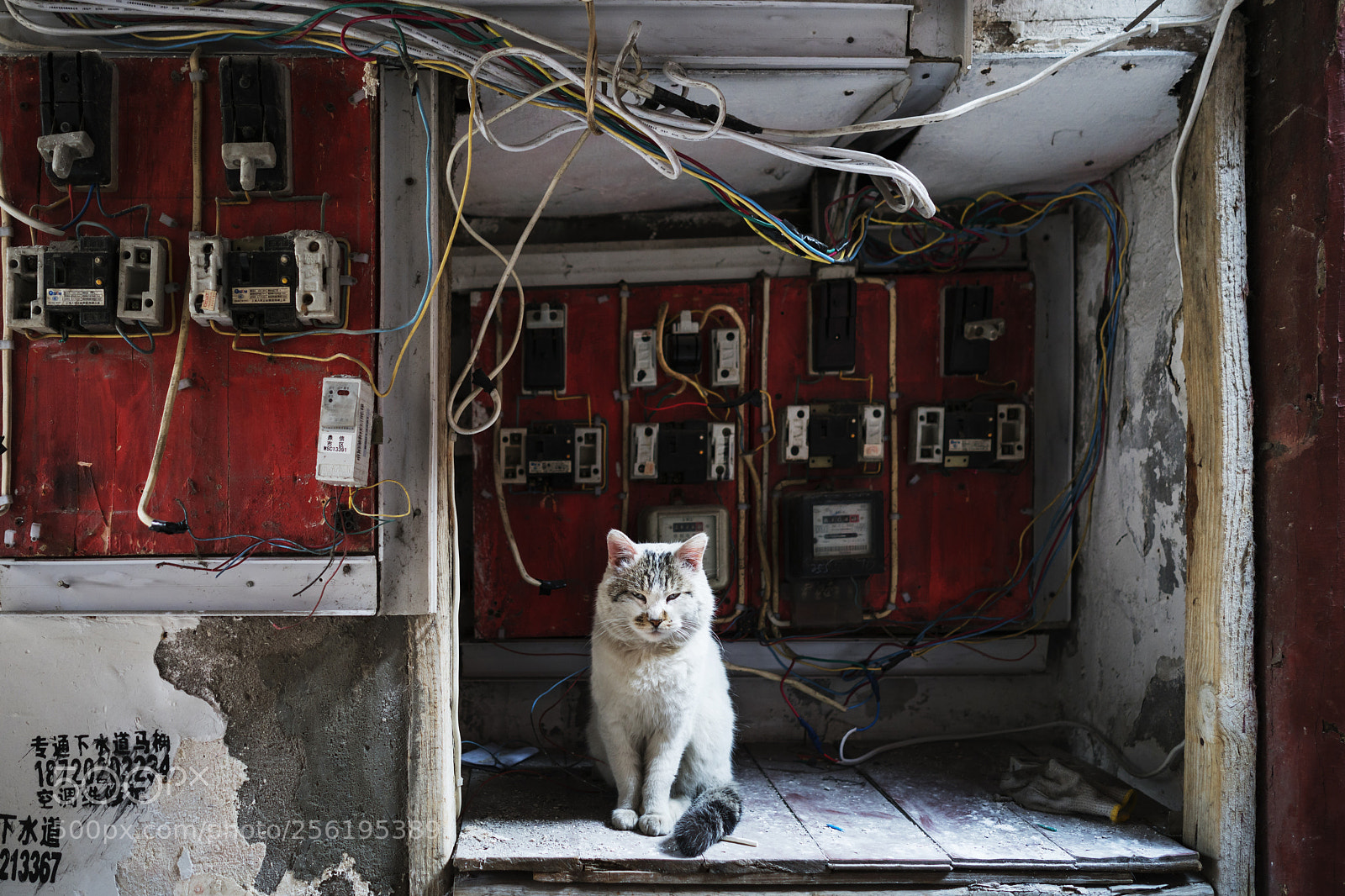 Sony a7R II sample photo. Untitled photography