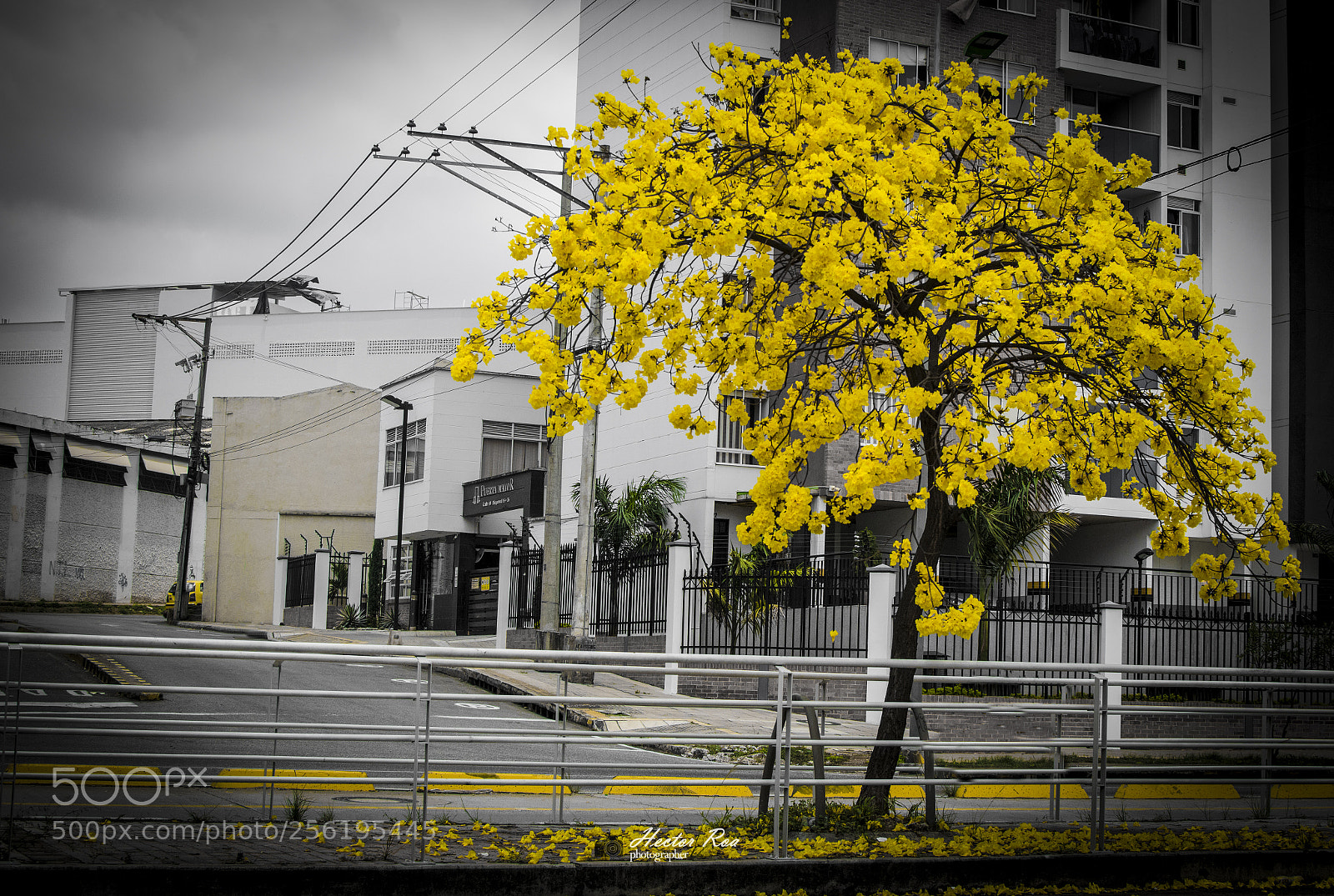 Nikon D5300 sample photo. Nature photography