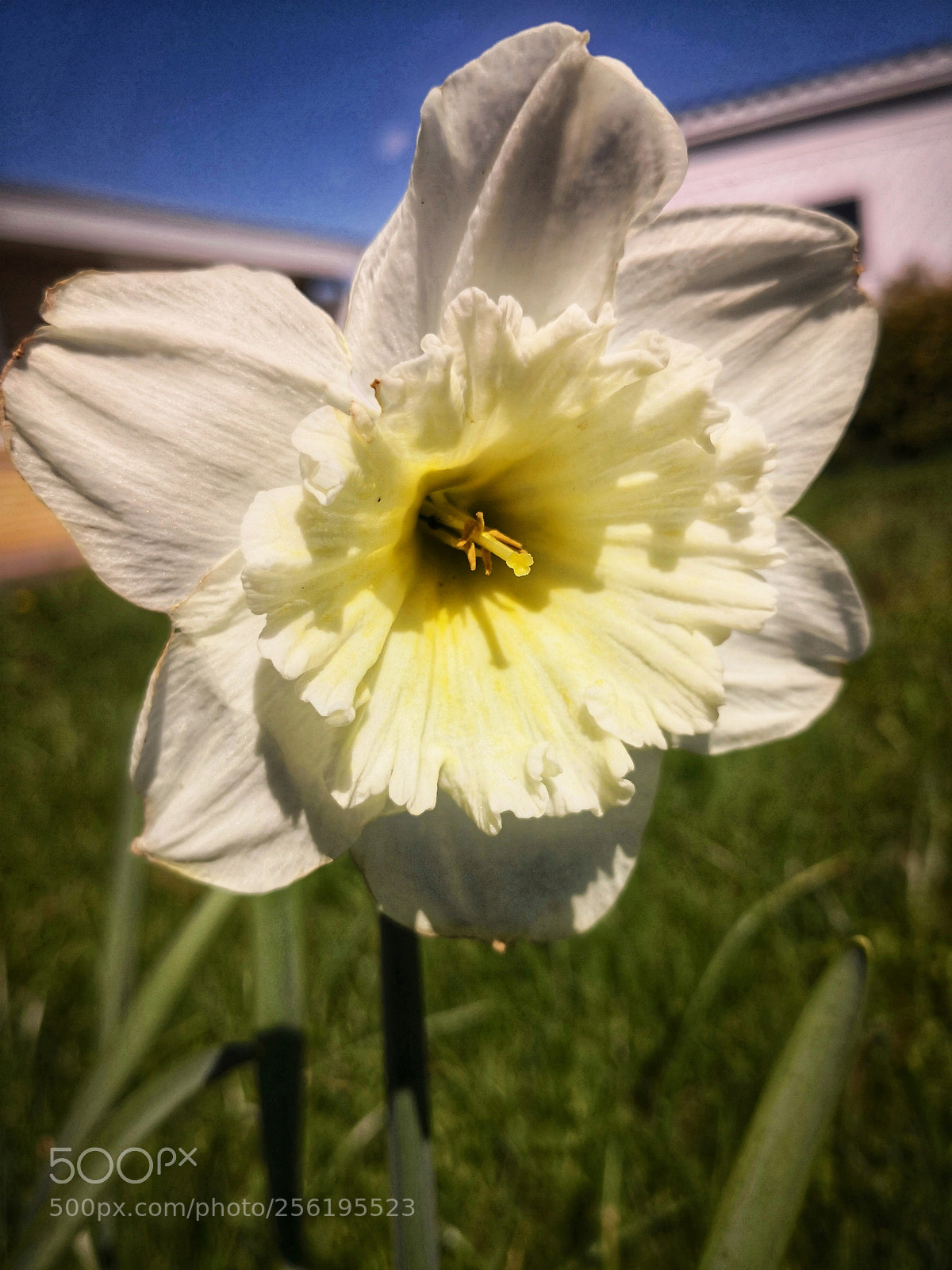 HUAWEI Mate 10 Pro sample photo. Untitled photography