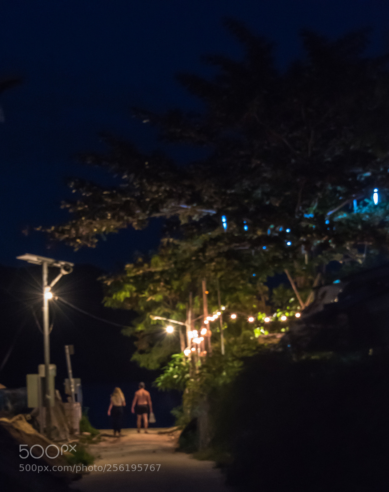 Nikon D750 sample photo. Romance night photography