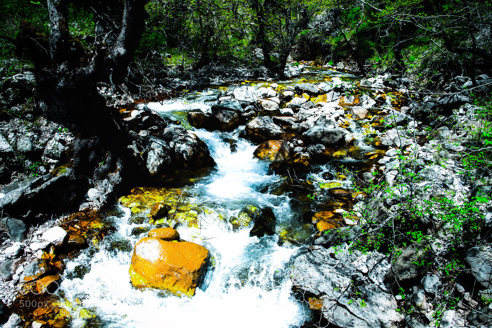 Canon EOS 700D (EOS Rebel T5i / EOS Kiss X7i) sample photo. River photography