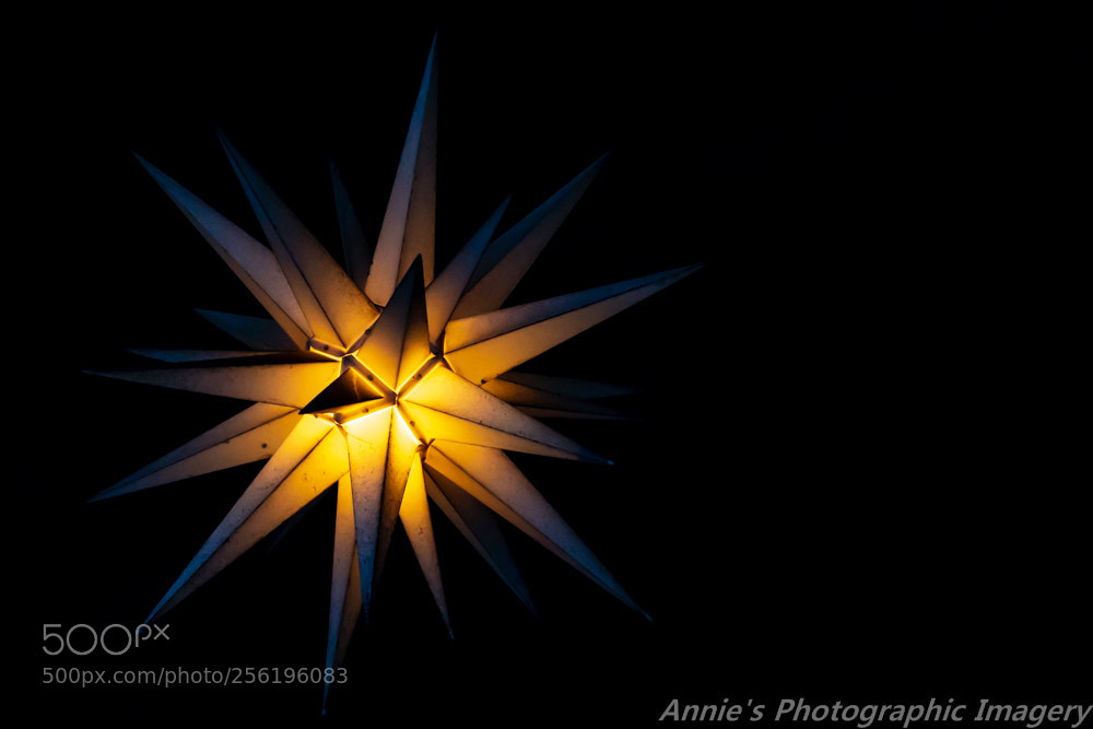 Nikon D5500 sample photo. Star light photography