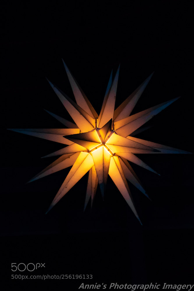 Nikon D5500 sample photo. You are my star photography