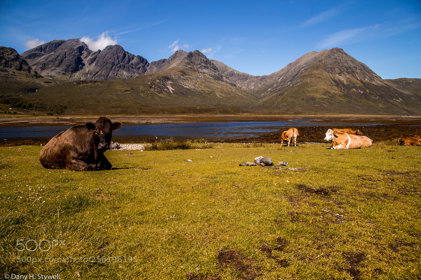 Canon EOS 6D sample photo. Ecosse photography