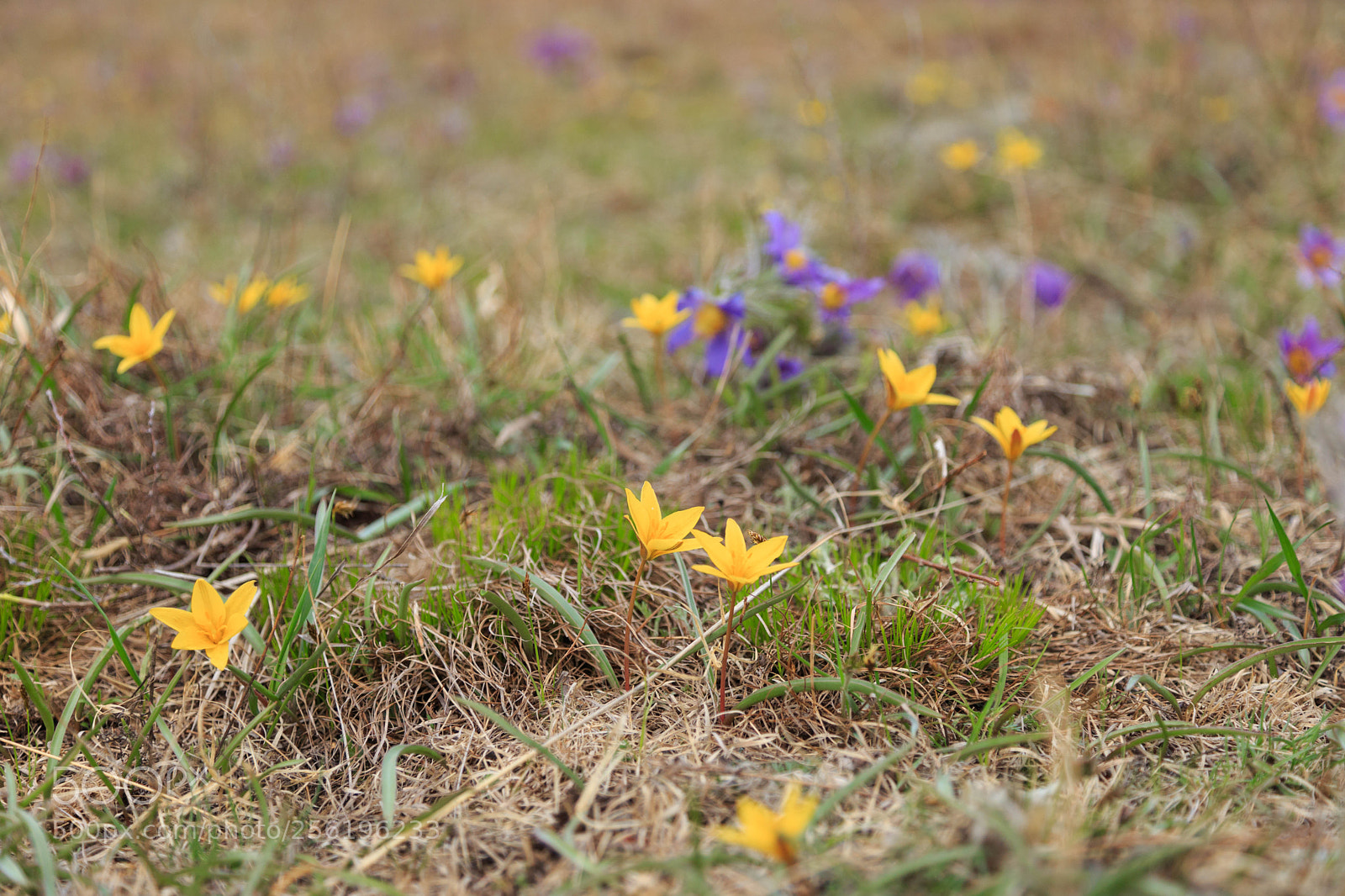 Canon EOS 6D sample photo. Img photography