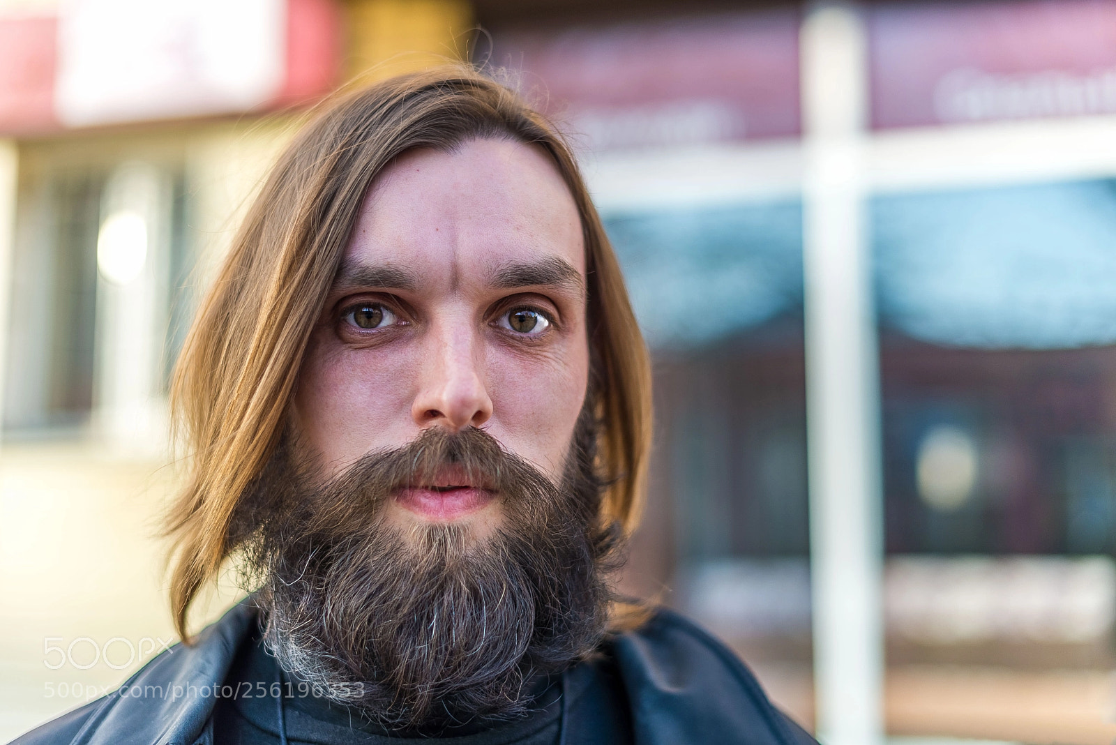 Nikon D600 sample photo. Мужчина с бородой photography