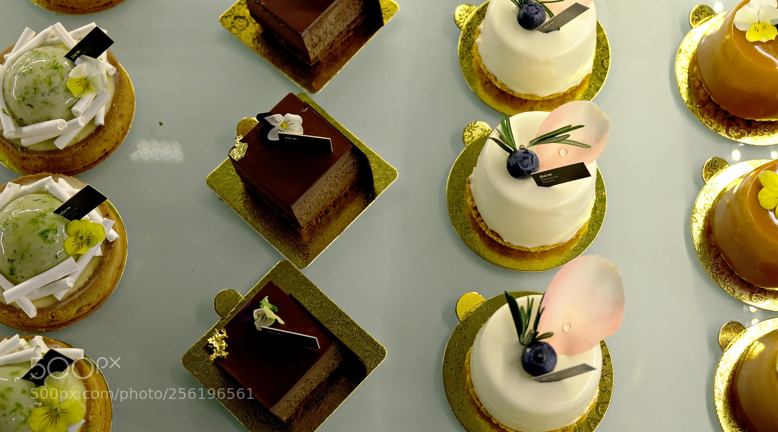 Fujifilm X-T20 sample photo. Cake party!! photography