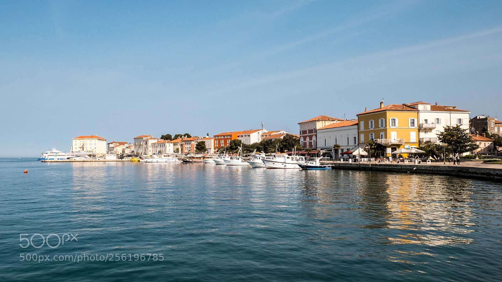 Panasonic DMC-G81 sample photo. More of porec photography