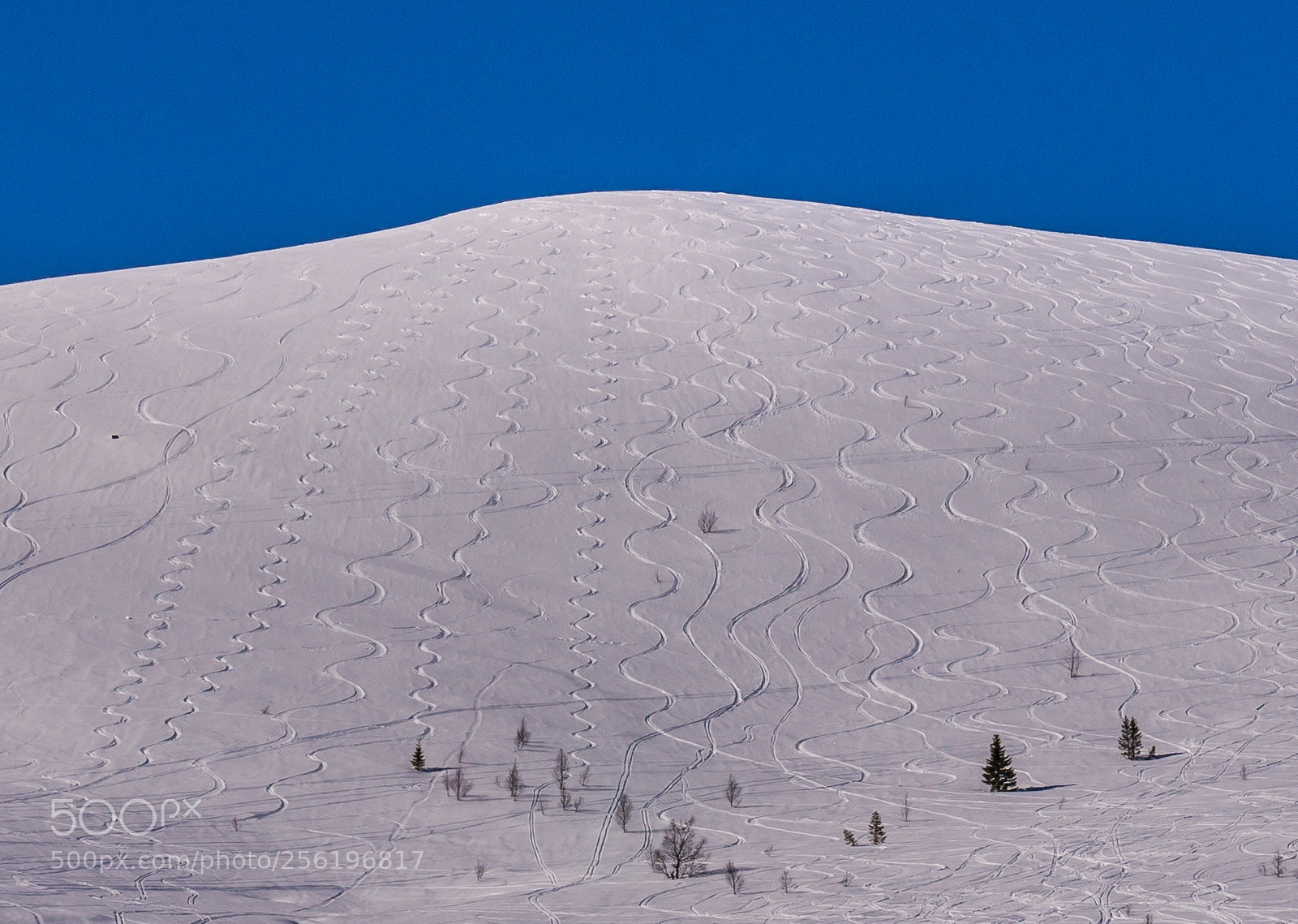 Sony Alpha NEX-6 sample photo. The joy of skiing photography