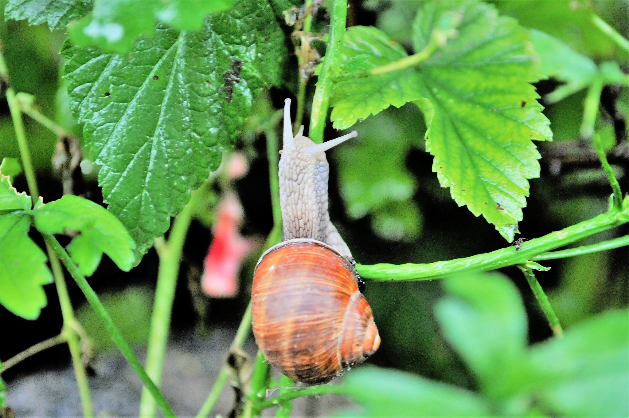 Nikon D300S sample photo. Dsc photography