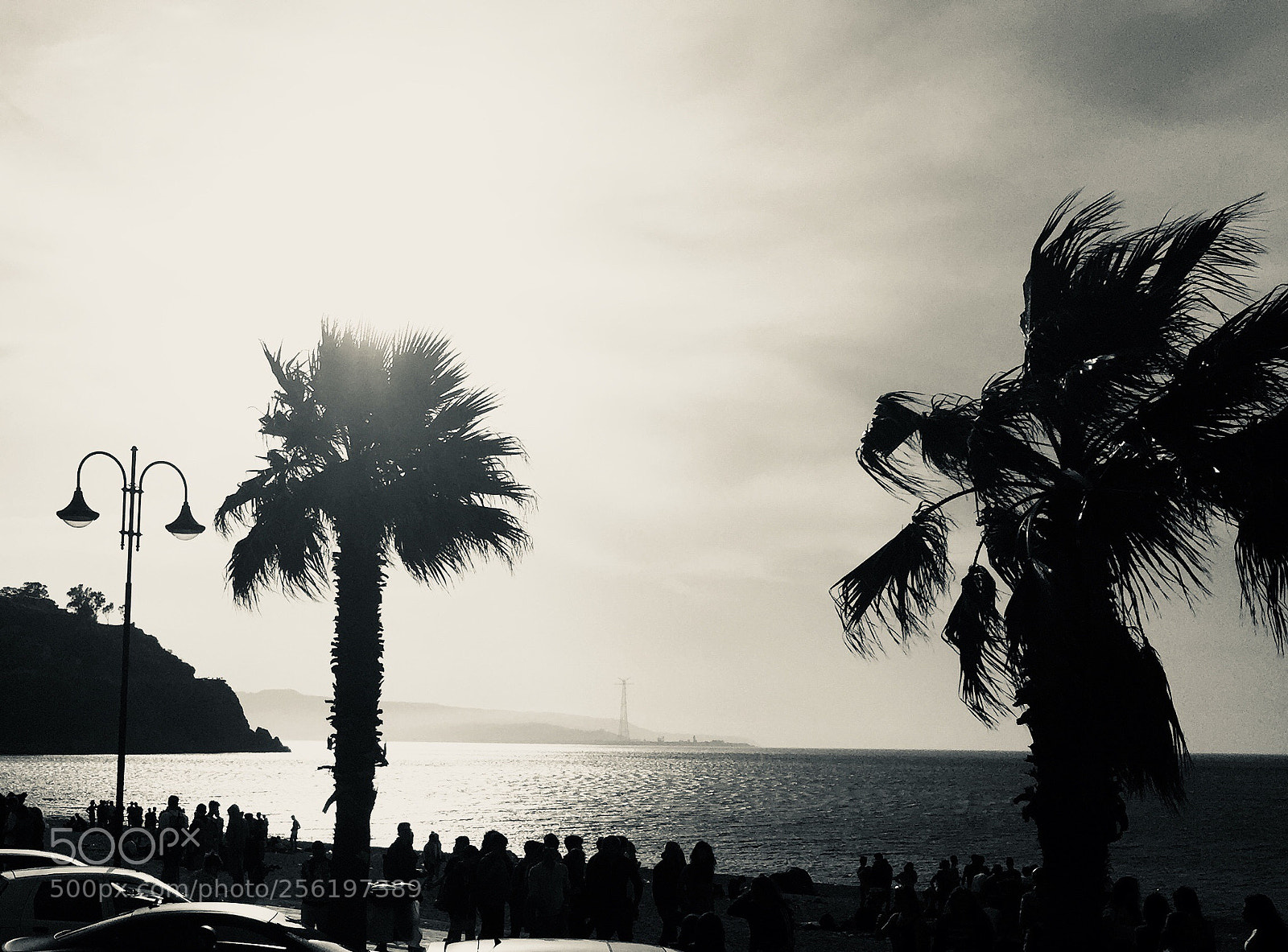 Apple iPhone 6 sample photo. Untitled photography