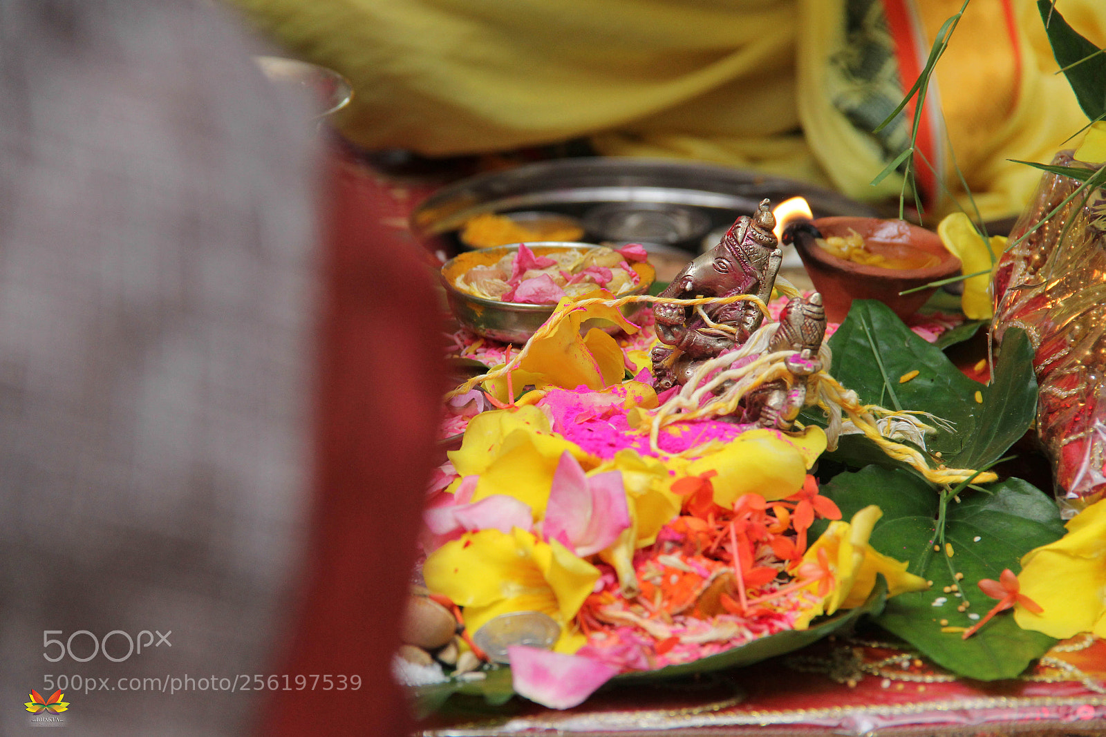 Canon EOS 60D sample photo. Lord ganesha photography