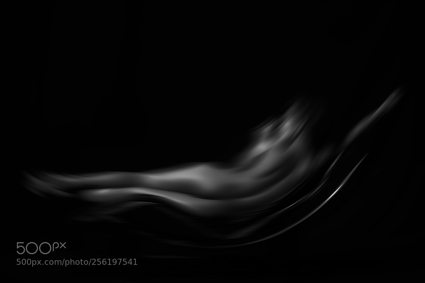 Nikon D850 sample photo. ... abstraccion desnuda ... photography