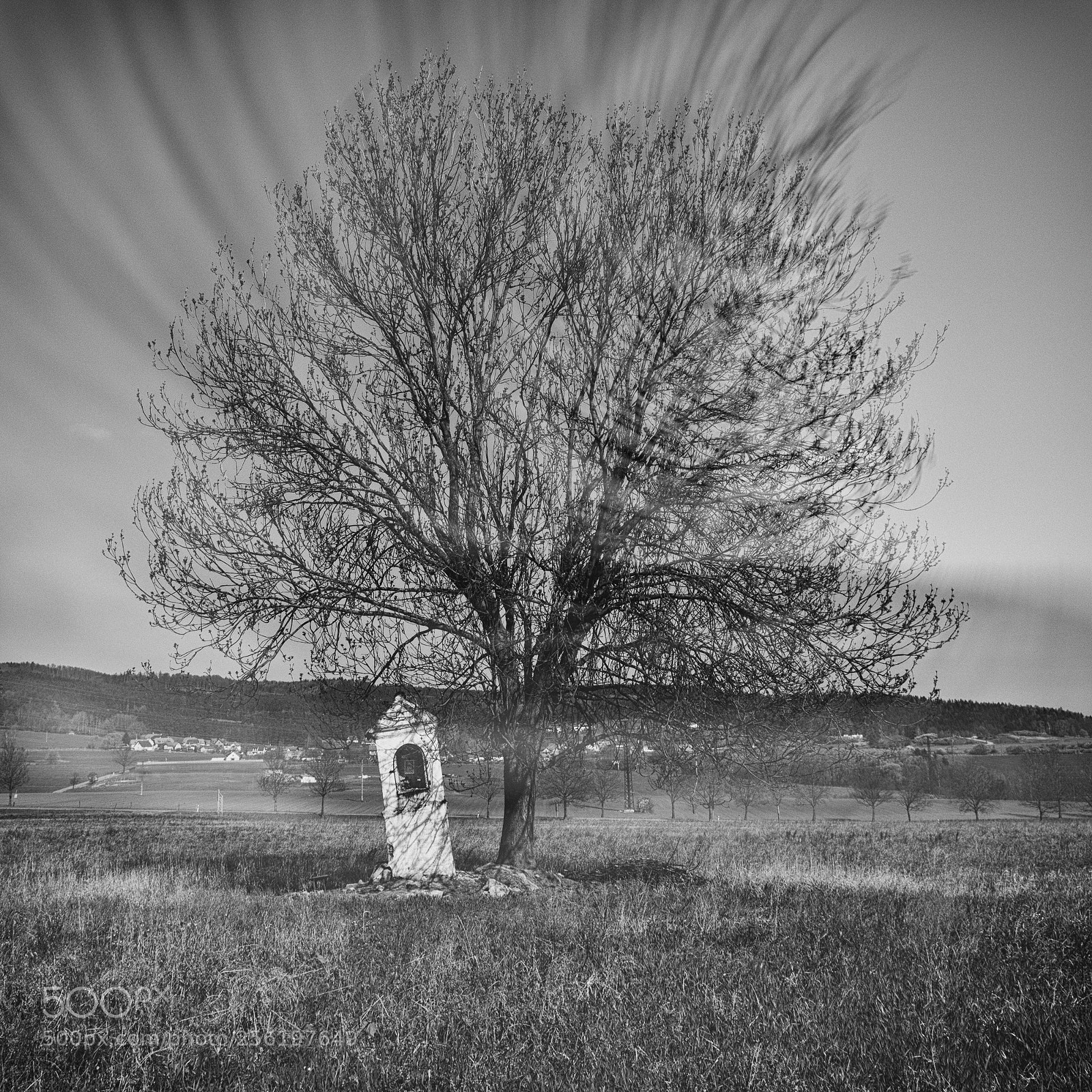 Nikon D610 sample photo. The chapel photography